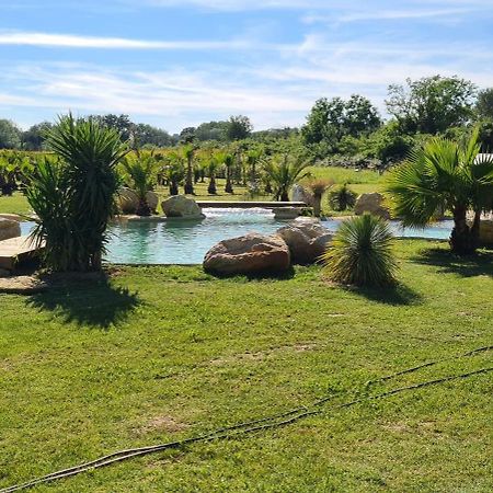 Le Mas Des Cerisiers Jacuzzi Et Sauna Inclus Pour Tous Les Logements Avignon Exterior foto