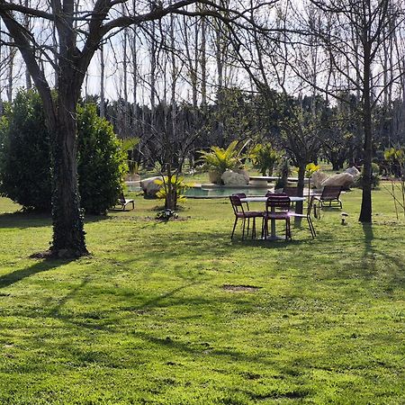 Le Mas Des Cerisiers Jacuzzi Et Sauna Inclus Pour Tous Les Logements Avignon Exterior foto