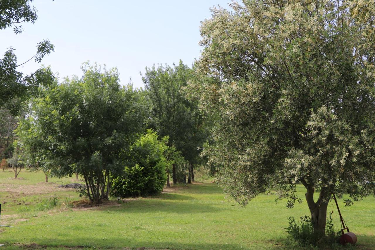 Le Mas Des Cerisiers Jacuzzi Et Sauna Inclus Pour Tous Les Logements Avignon Exterior foto