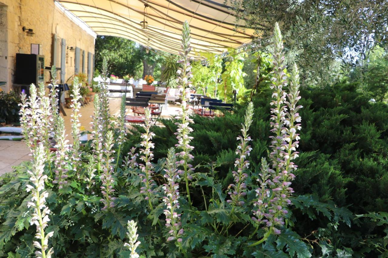 Le Mas Des Cerisiers Jacuzzi Et Sauna Inclus Pour Tous Les Logements Avignon Exterior foto