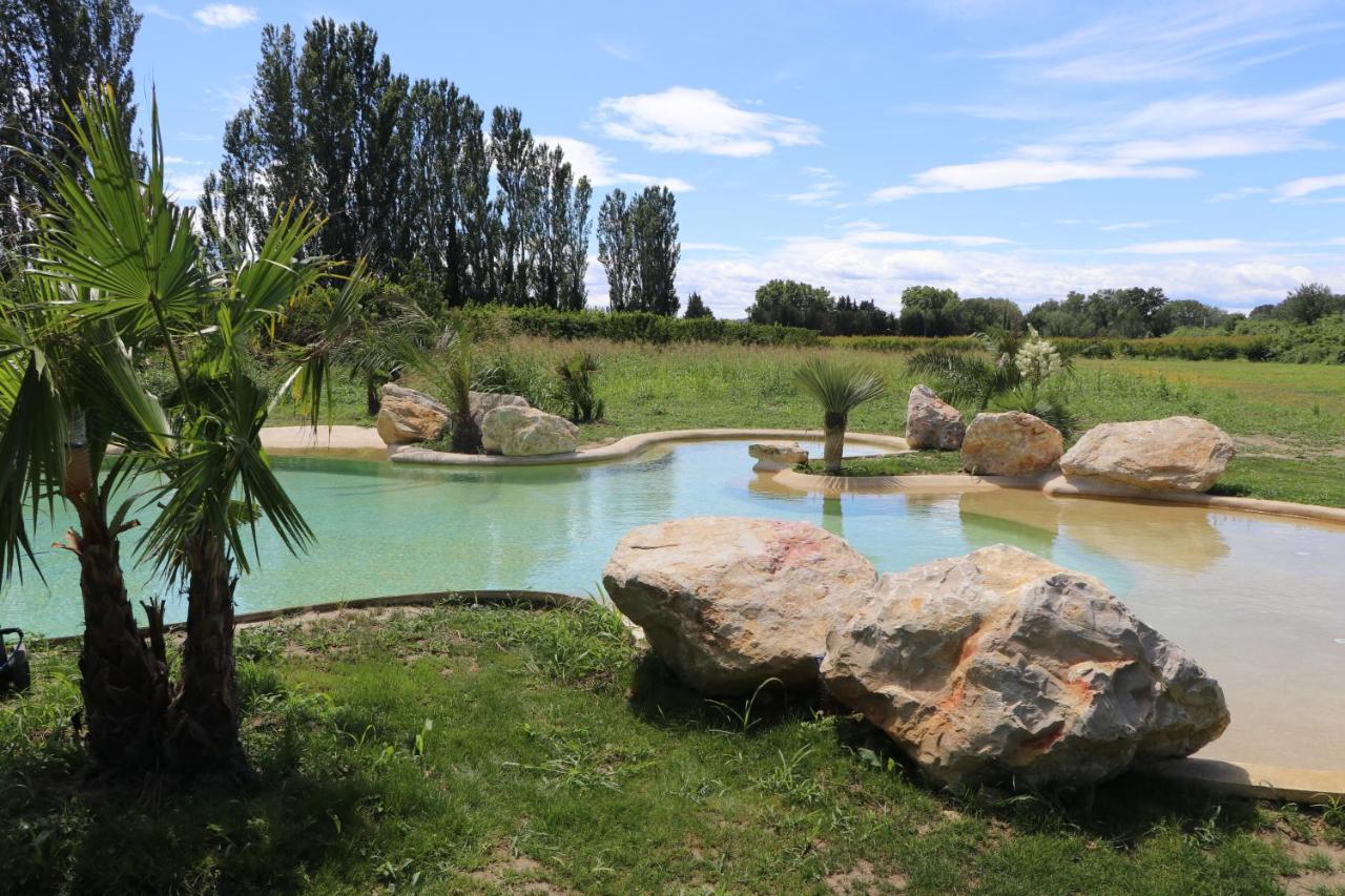 Le Mas Des Cerisiers Jacuzzi Et Sauna Inclus Pour Tous Les Logements Avignon Exterior foto