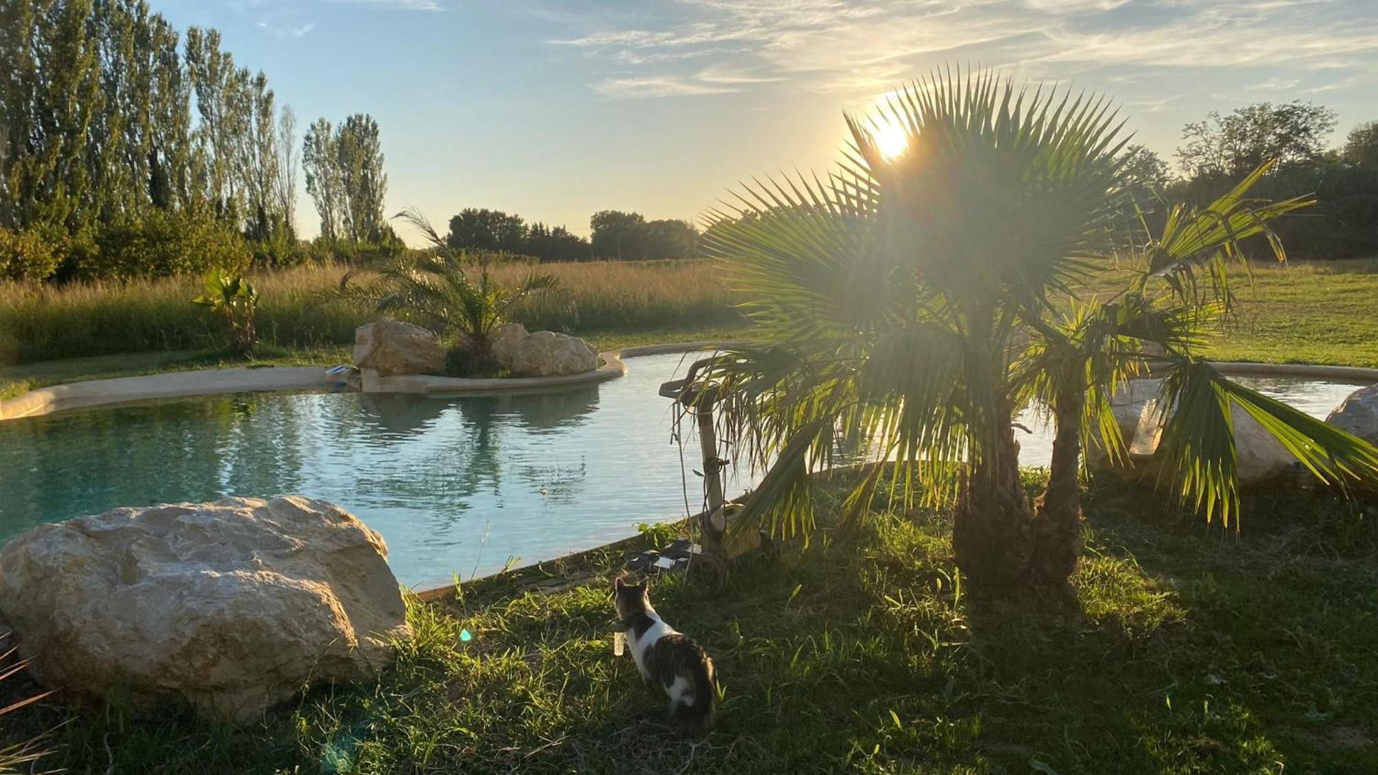 Le Mas Des Cerisiers Jacuzzi Et Sauna Inclus Pour Tous Les Logements Avignon Exterior foto