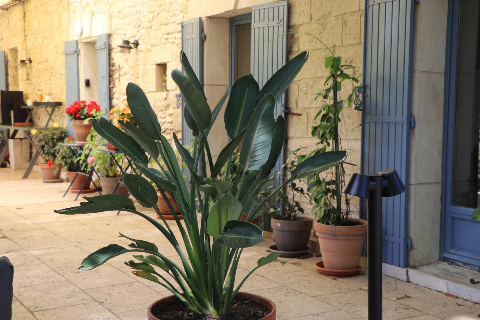 Le Mas Des Cerisiers Jacuzzi Et Sauna Inclus Pour Tous Les Logements Avignon Exterior foto
