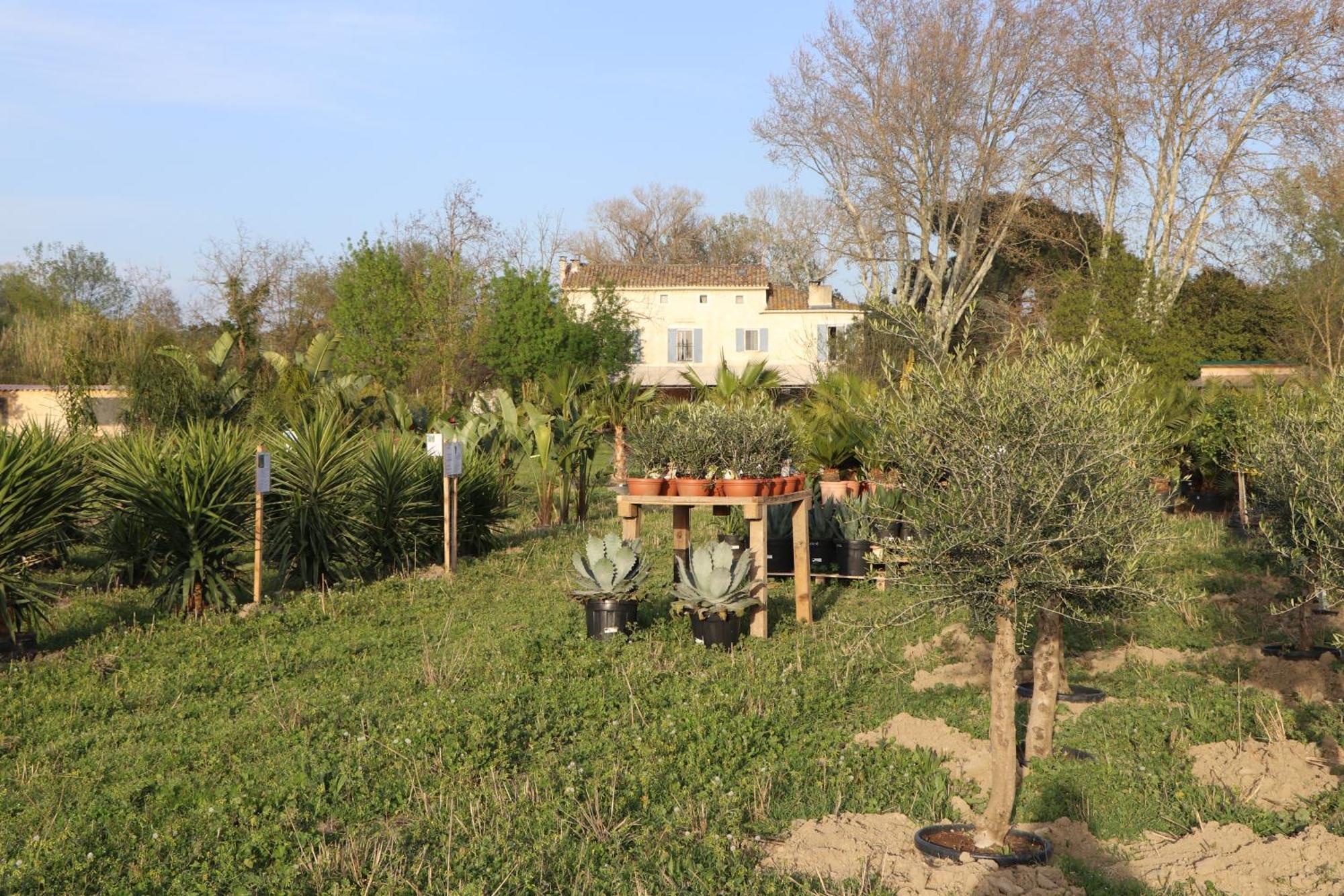 Le Mas Des Cerisiers Jacuzzi Et Sauna Inclus Pour Tous Les Logements Avignon Exterior foto