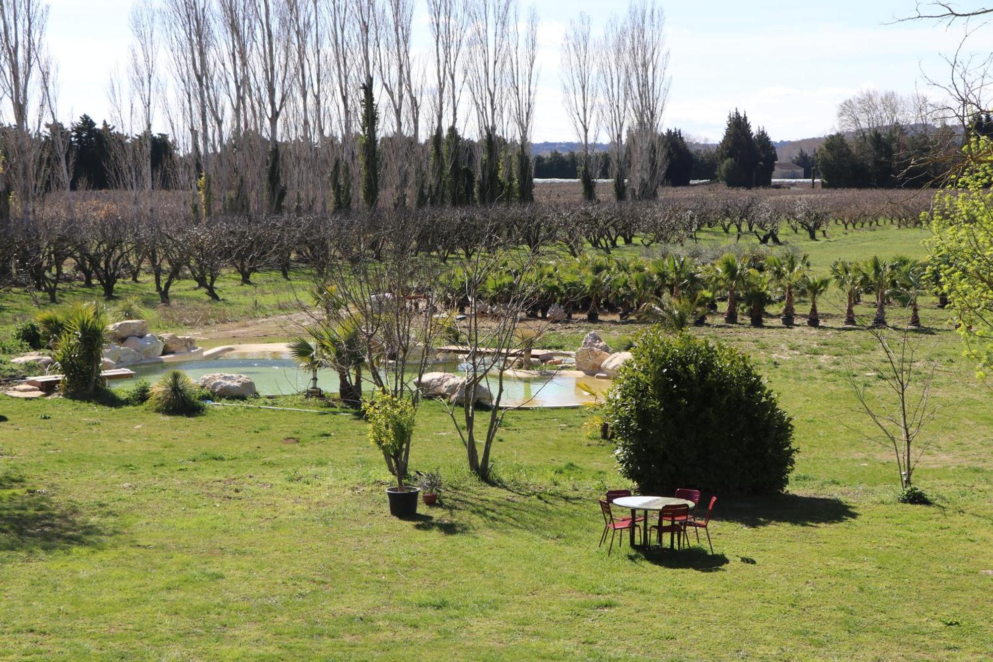 Le Mas Des Cerisiers Jacuzzi Et Sauna Inclus Pour Tous Les Logements Avignon Exterior foto