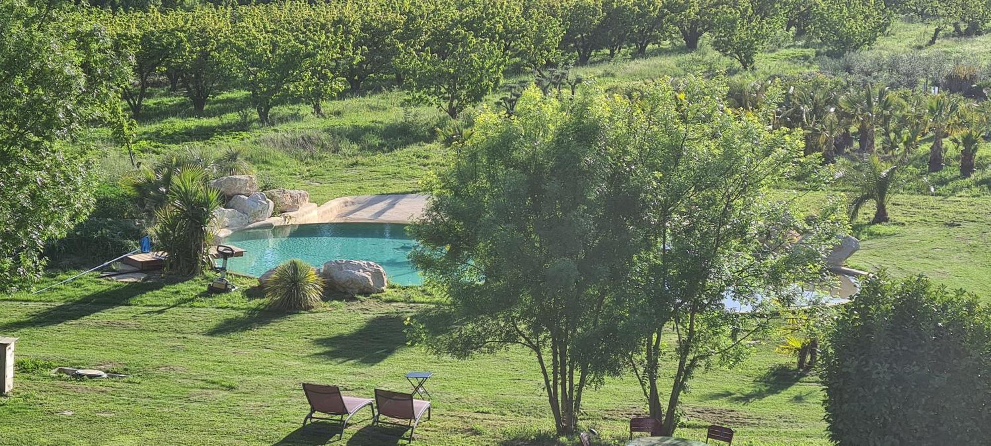 Le Mas Des Cerisiers Jacuzzi Et Sauna Inclus Pour Tous Les Logements Avignon Exterior foto